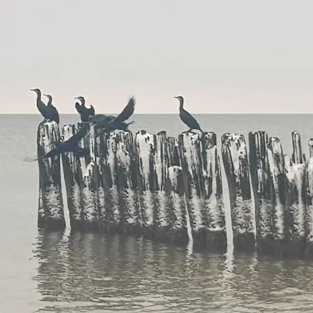 公寓 Porta Balticum *